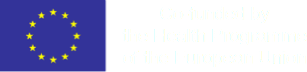 UE disclaimer
